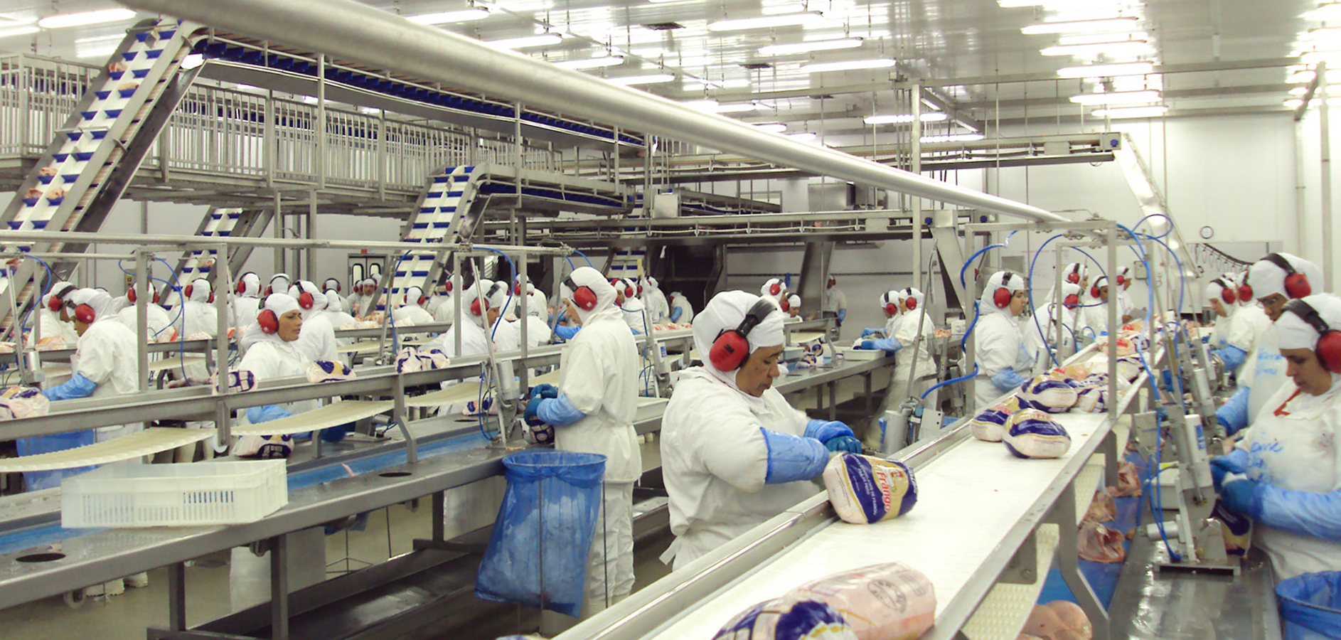 Gestão de Frigoríficos Sistema Odin | ERP para Gestão de Frigoríficos